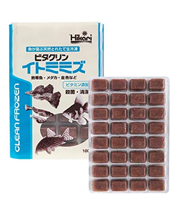 ビタクリンイトミミズ