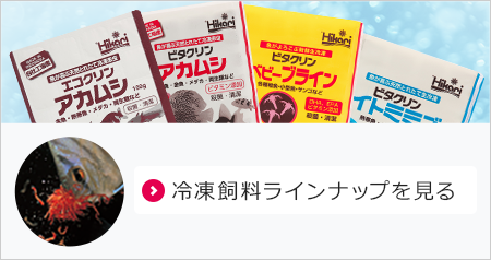 冷凍飼料のラインナップを見る
