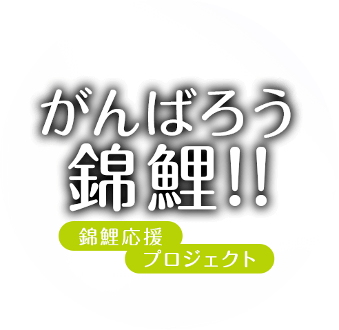 がんばろう錦鯉‼~錦鯉応援プロジェクト~