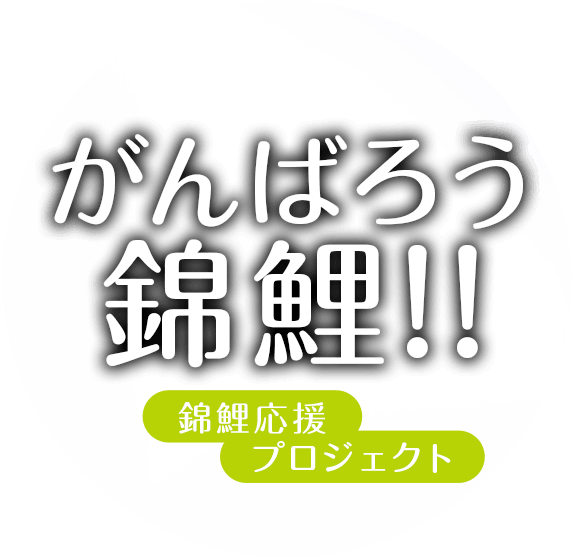 キョーリン がんばろう錦鯉 錦鯉応援プロジェクト キョーリン がんばろう錦鯉 錦鯉応援プロジェクト