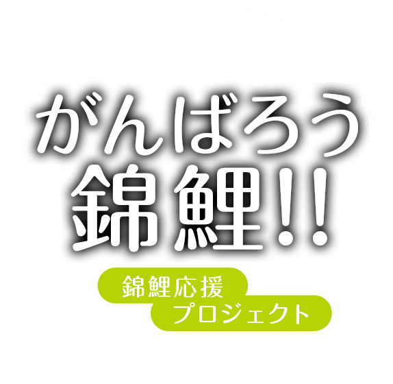 キョーリン がんばろう錦鯉 錦鯉応援プロジェクト