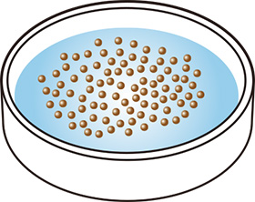 イージーブラインを浮かべる
