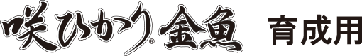咲ひかり金魚育成用 沈下