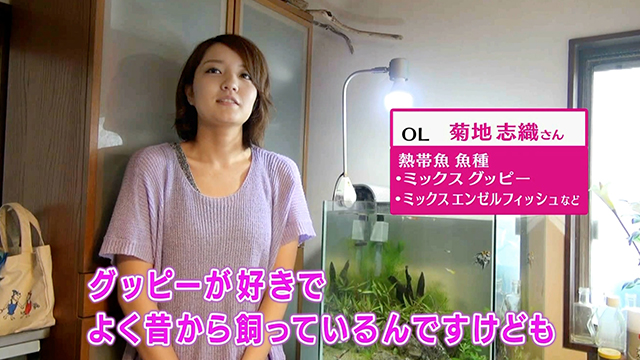 【新世代フレーク】プロモーション動画 ショートver