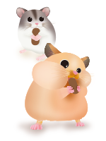 ハムスターのことをよく知ろう