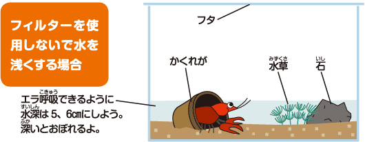 ザリガニのエサ その他飼料 ザリガニの飼い方 ザリガニの飼育方法