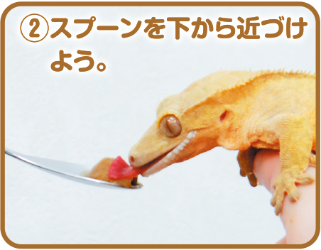 ②スプーンを下から近づけよう