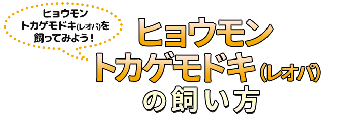 ヒョウモントカゲモドキ(レオパ)を飼ってみよう!ヒョウモントカゲモドキ(レオパ)の飼い方