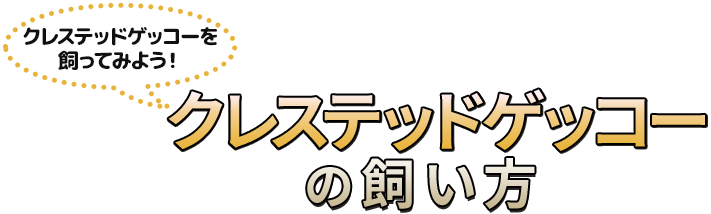 クレステッドゲッコーを飼ってみよう!クレステッドゲッコーの飼い方