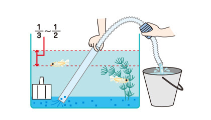 メダカのエサ 川魚のエサ メダカ 川魚用飼料 メダカ の飼い方 メダカ の飼育方法