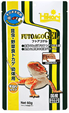 フトアゴゲル