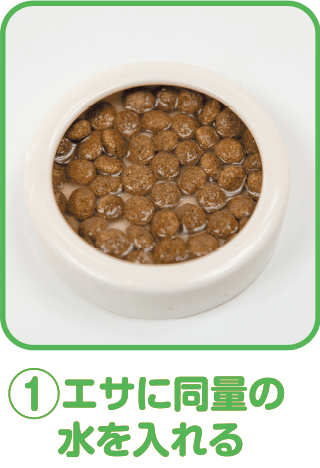 フトアゴヒゲトカゲのエサ 両生類 爬虫類用飼料 フトアゴヒゲトカゲの飼い方 フトアゴヒゲトカゲの飼育方法 フトアゴヒゲトカゲのエサ 両生類 爬虫類用飼料 フトアゴヒゲトカゲの飼い方 フトアゴヒゲトカゲの飼育方法