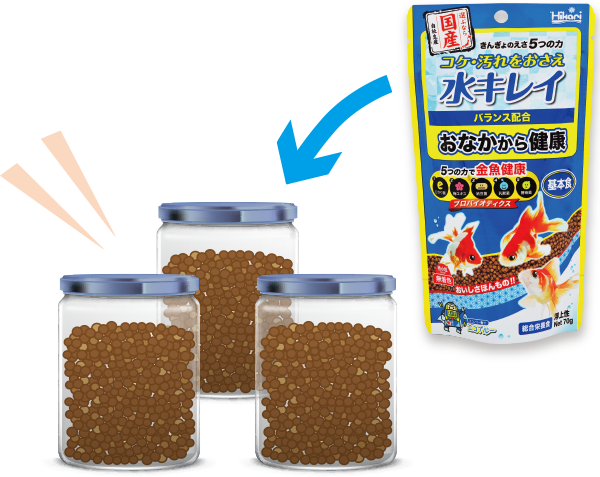 金魚の飼育方法＜金魚,水槽,飼料,餌,エサ＞｜金魚の飼い方