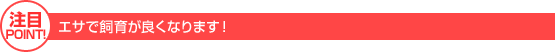 注目point！エサで飼育が良くなります！