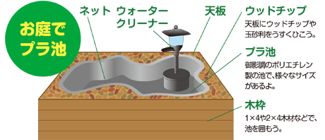 錦鯉の飼育方法 錦鯉 水槽 飼料 餌 エサ 錦鯉の飼い方 キョーリン Hikari