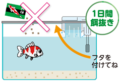 錦鯉の飼い方 飼育方法 錦鯉用飼料 餌 エサ キョーリン 錦鯉の飼い方 飼育方法 錦鯉用飼料 餌 エサ キョーリン