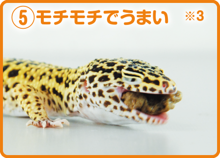 ⑤モチモチでうまい