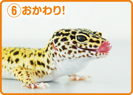 ⑥おかわり!