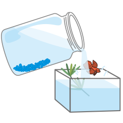 お魚や水草をプラケースに移す