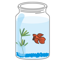 水温を合わせてから、水草と魚を入れよう