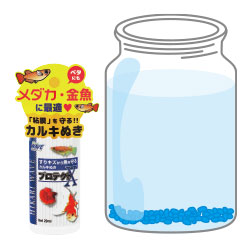 水道水を注ぎ、粘膜を守るカルキぬき「プロテクトX」を入れよう