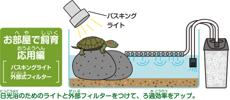 カメの飼い方 カメの飼育方法 その他飼料 餌 エサ キョーリン