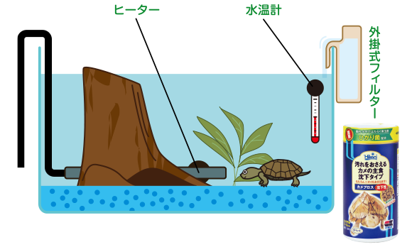 水棲ガメを飼おう