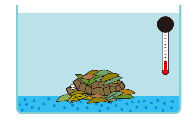 水中で冬眠