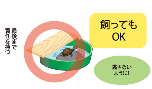 飼ってもOK