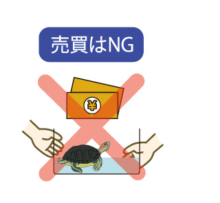 売買はNG