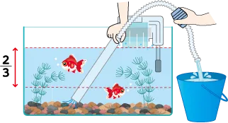 水の入れ替え