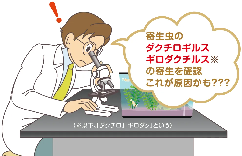 寄生を確認これが原因かも???