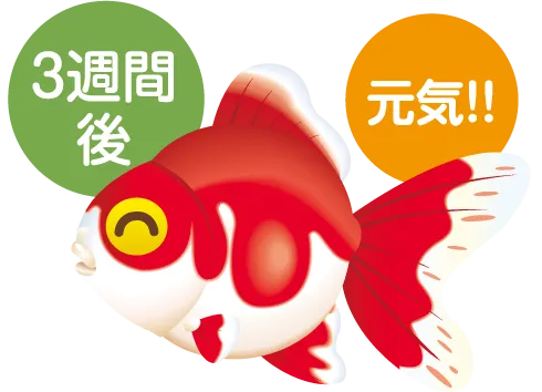 ローズマリー
