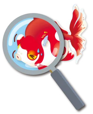 虫眼鏡金魚
