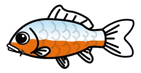 浅黄