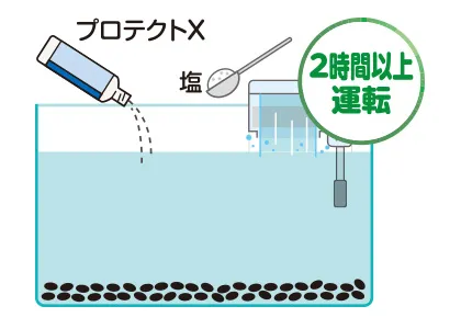 0.5％塩水水槽の準備