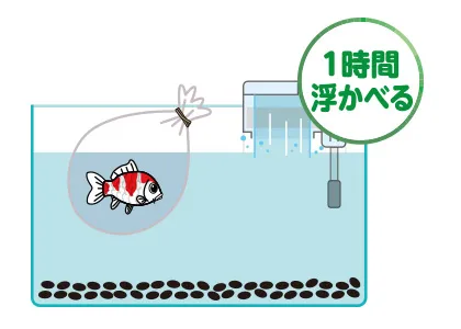 温度合わせ