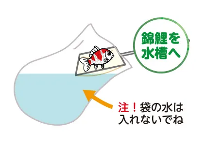 移動