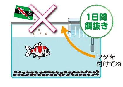 エサをあげよう