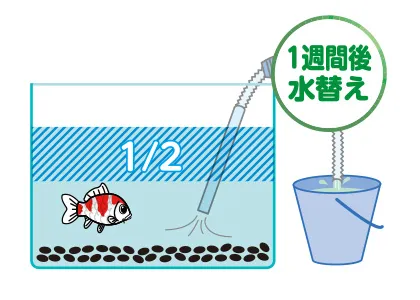 水替え