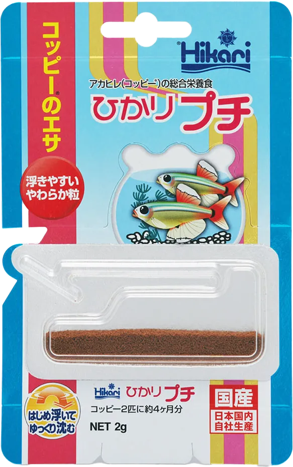 アカヒレ（別名コッピー）
