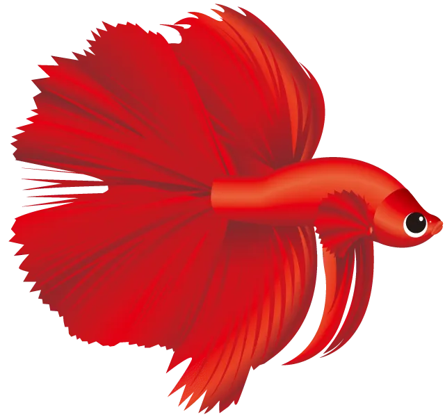 熱帯魚