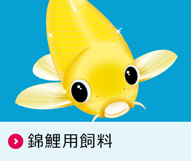 錦鯉用飼料