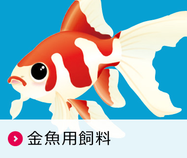 金魚用飼料