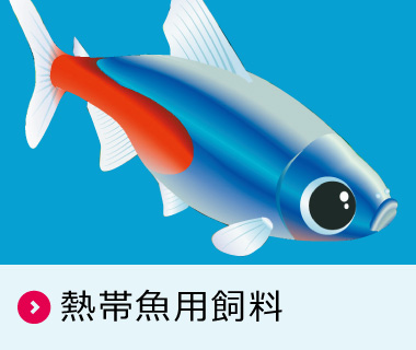 ホーム<錦鯉,金魚,熱帯魚,メダカ,小動物,鳥,爬虫類,両生類,飼い ホーム<錦鯉,金魚,熱帯魚,メダカ,小動物,鳥,爬虫類,両生類,飼い