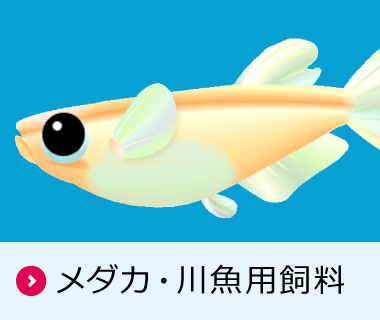 メダカ・川魚用飼料