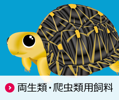 両生類・爬虫類用飼料