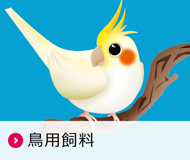 鳥用飼料
