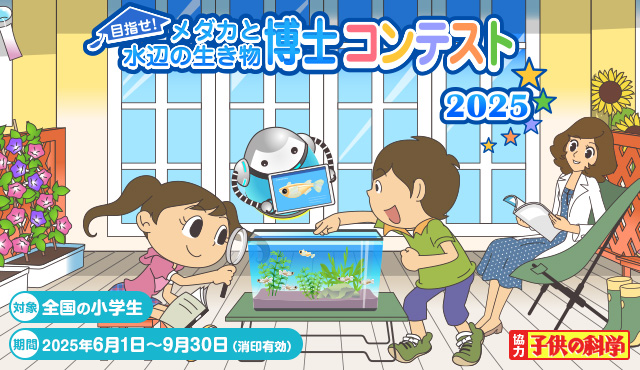 ホーム＜錦鯉,金魚,熱帯魚,メダカ,小動物,鳥,爬虫類,両生類,飼い
