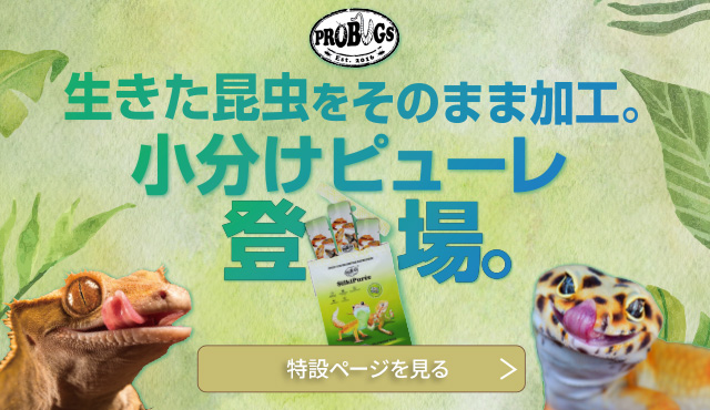 プロバグズ